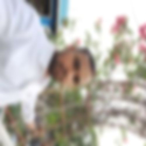 Sayed Mabub এর ছবি