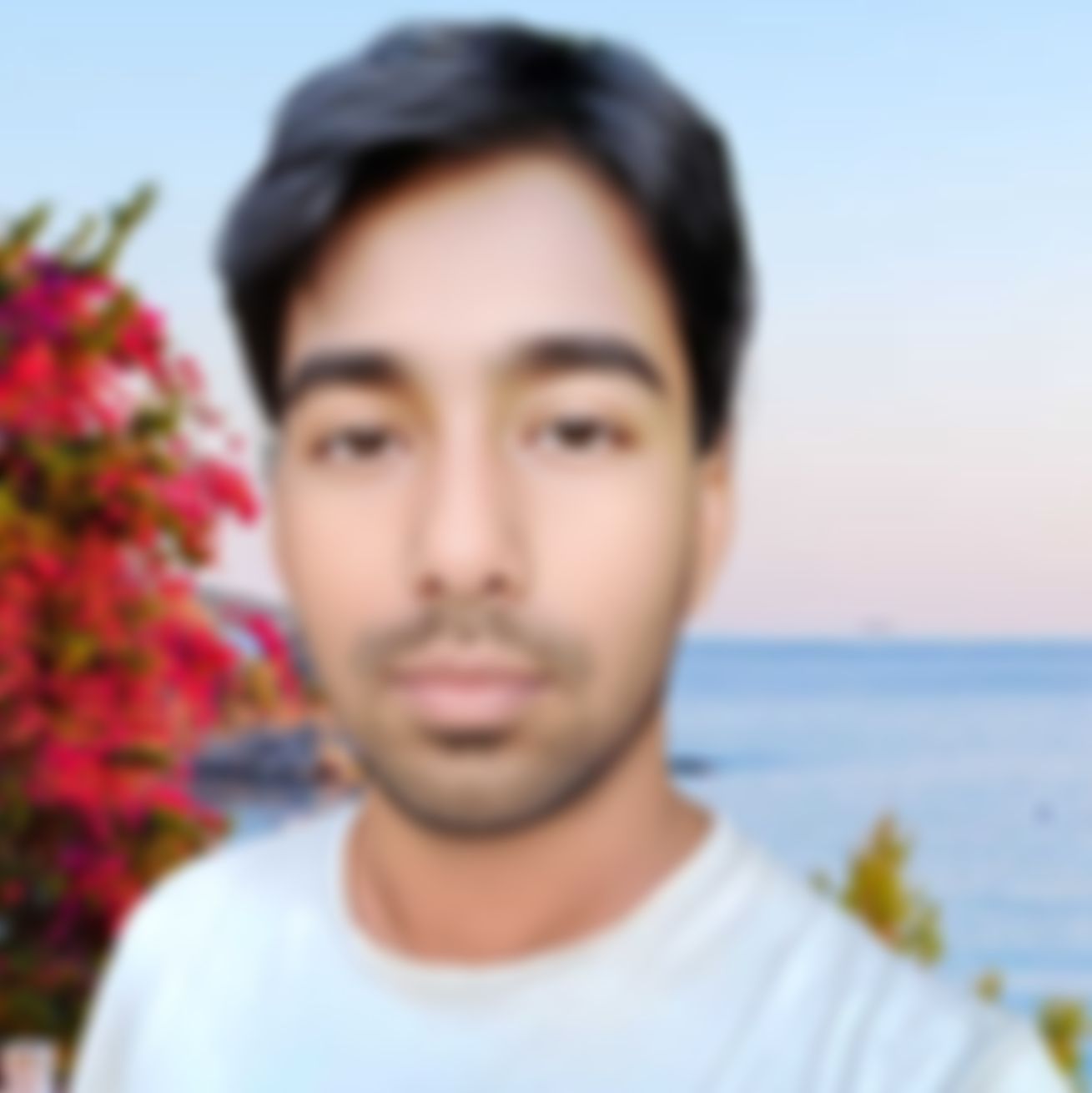মোঃ আল হুসাইন পলাশ এর ছবি