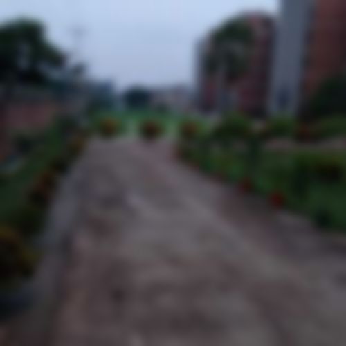 মোঃ রাসেল বাবু এর ছবি