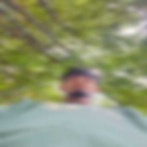 Md Mainul Islam Alamgir  এর ছবি