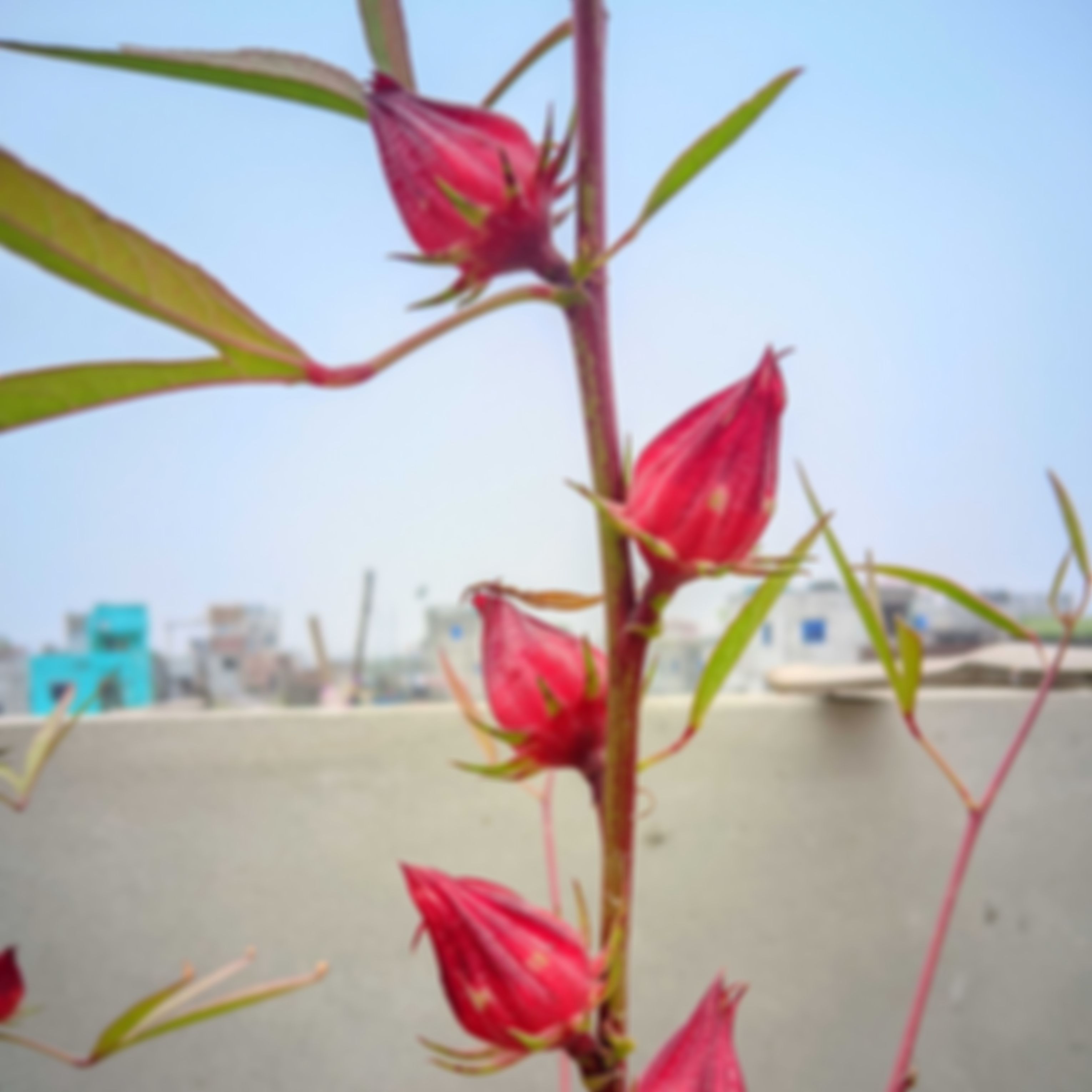 Mehedi hasan sagor এর ছবি