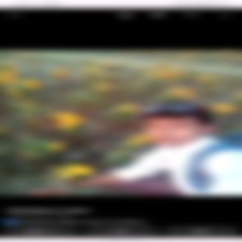 Raj  এর ছবি