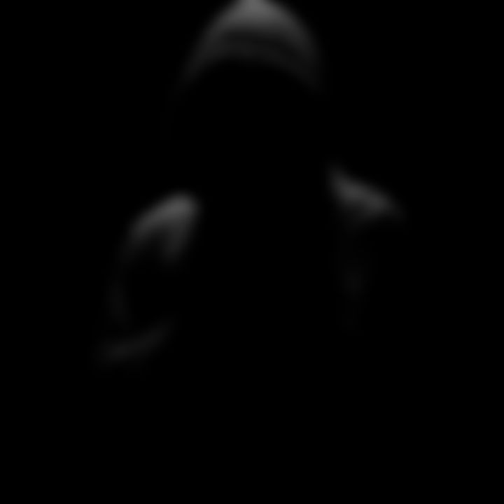 𝗠𝗔𝗛𝗜𝗥 𝗖𝗛𝗢𝗪𝗗𝗛𝗨𝗥𝗬 এর ছবি