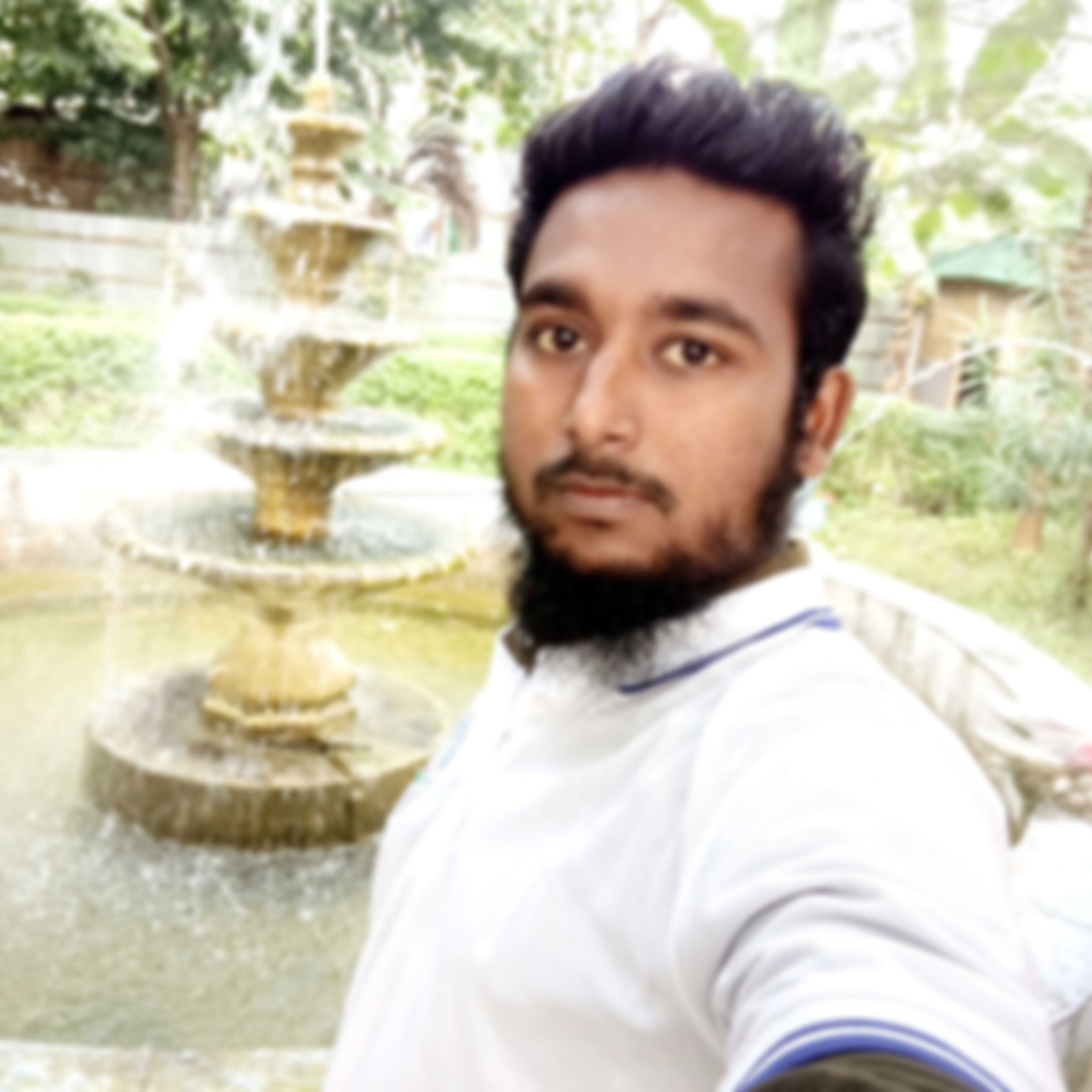 দ্বীন মোহাম্মদ রাব্বি  এর ছবি