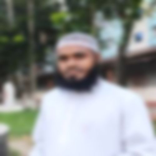 মাওলানা সালাহউদ্দিন আল মাহফুজ  এর ছবি