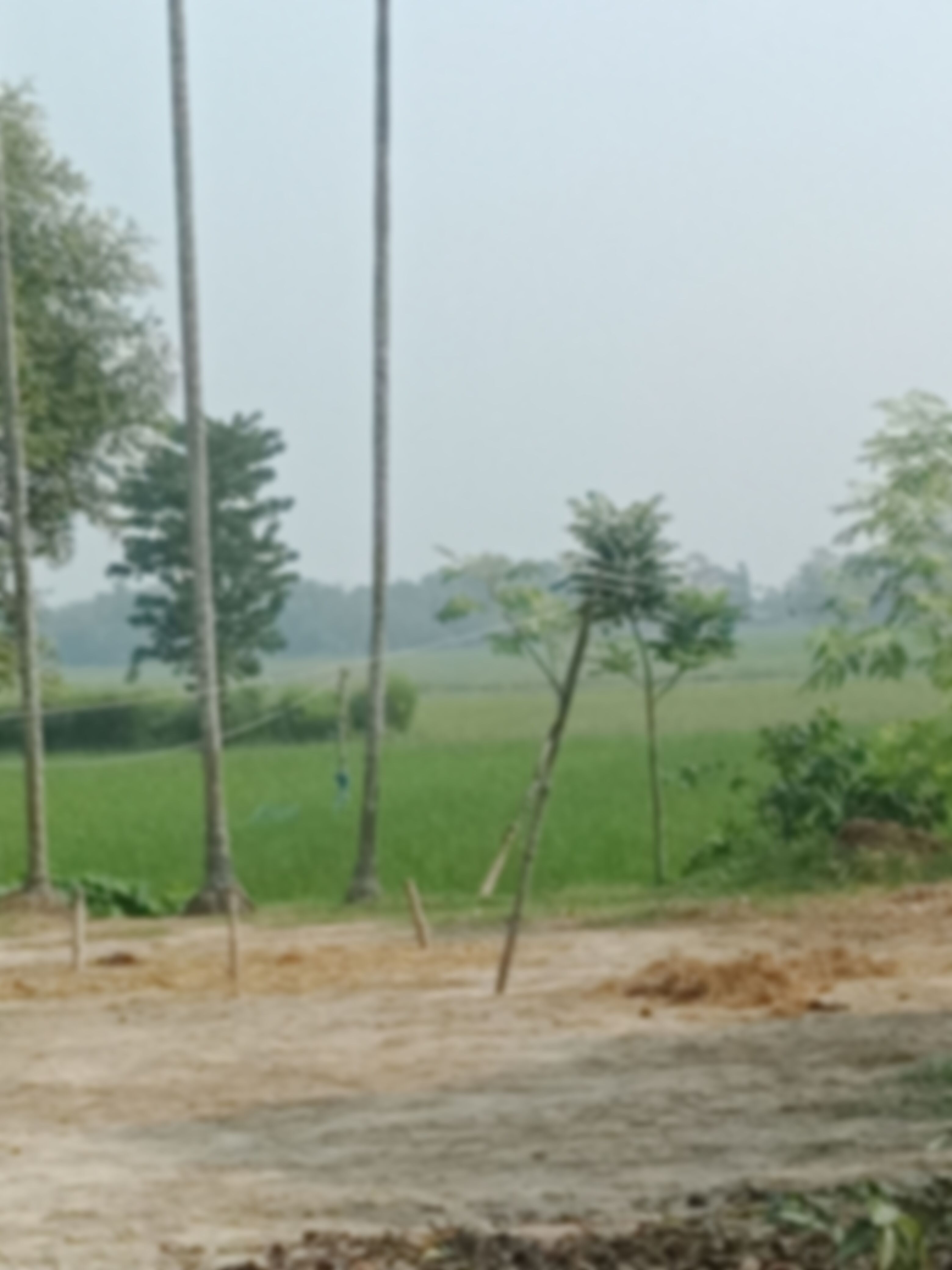 Md.mehedi hasan এর ছবি