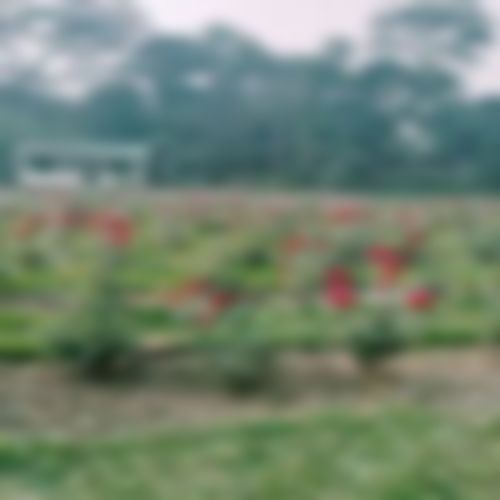 Zahid hassn এর ছবি
