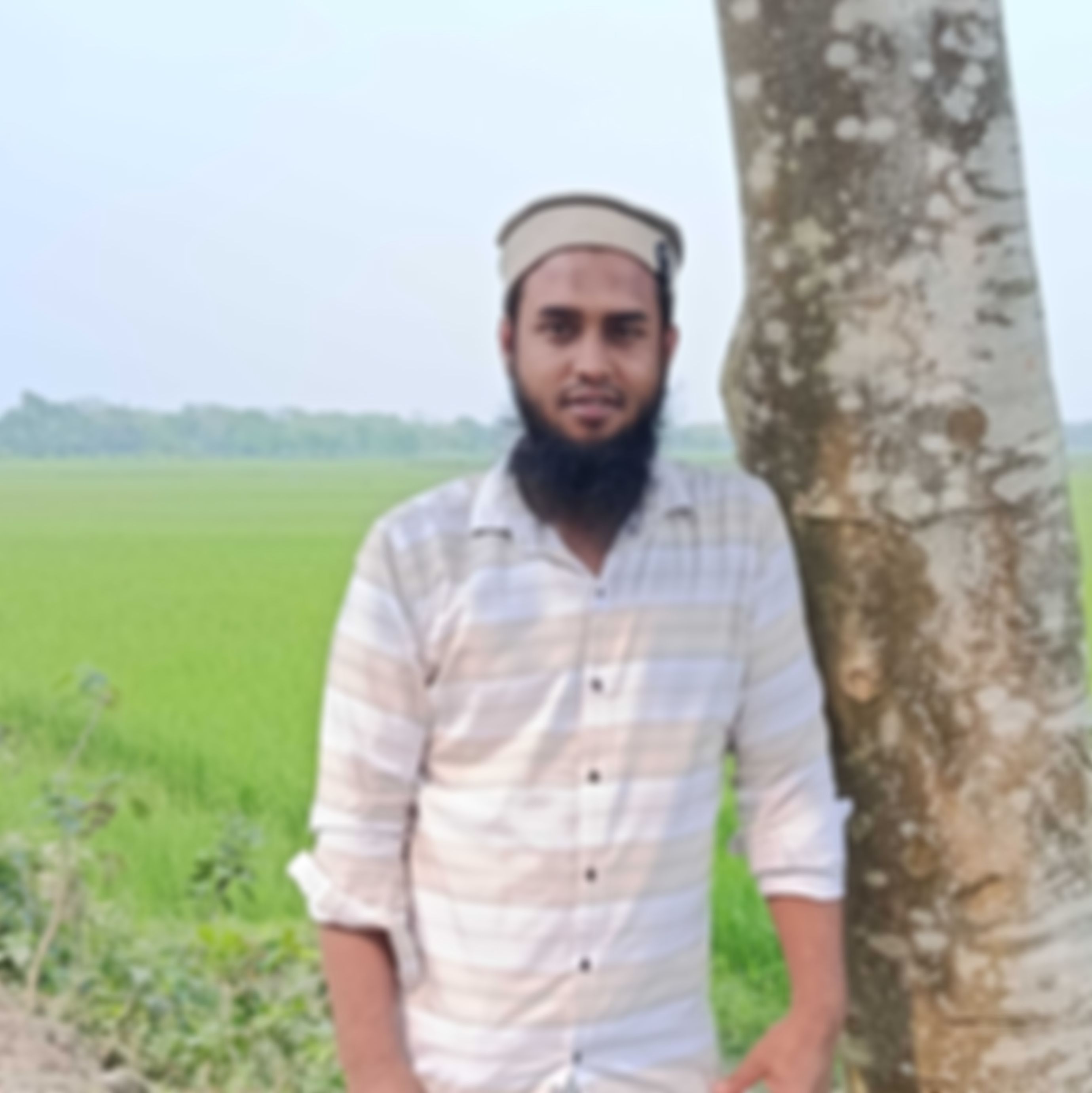 Ariful Islam  এর ছবি