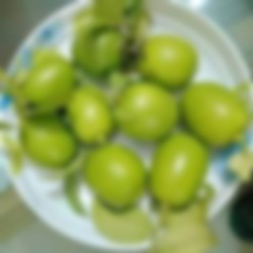 নিয়াজ আহমাদ এর ছবি