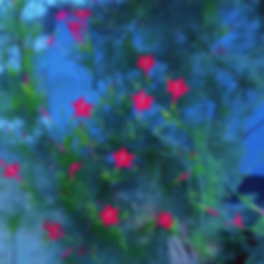 Mainul Islam  এর ছবি