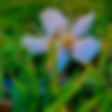 Areyan Chowdhury  এর ছবি