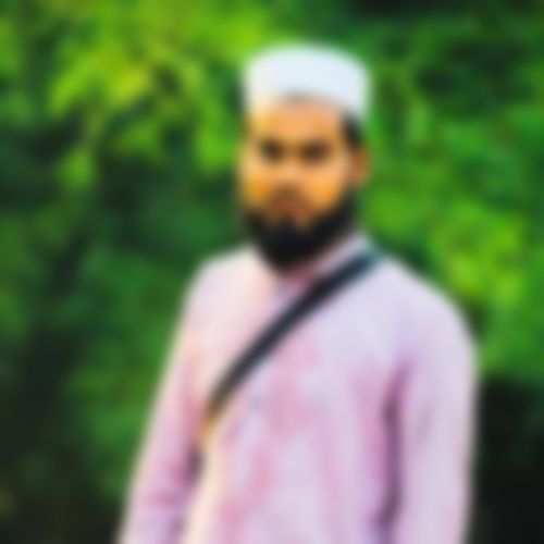 মোঃ আরিফুল ইসলাম এর ছবি