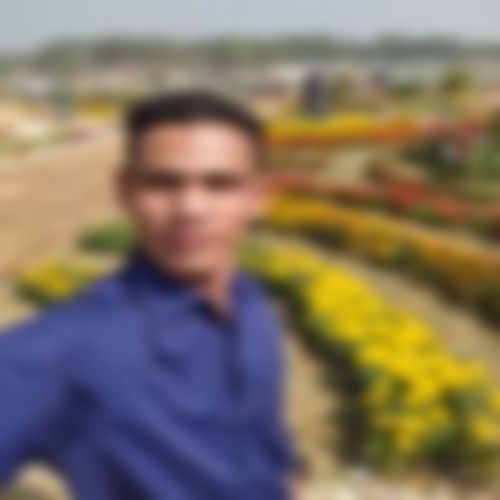 মো নিজাম উদ্দীন আন্নান এর ছবি