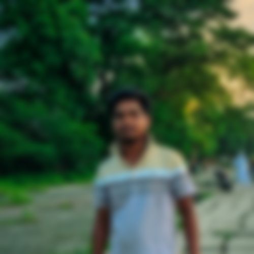 NR.SAIFUDDIN এর ছবি