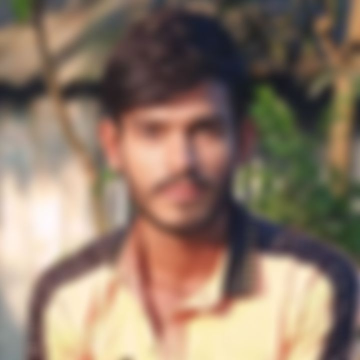 মোঃহাসিব তালুকদার  এর ছবি