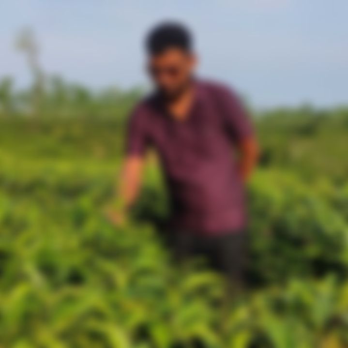 RANA Bormon এর ছবি
