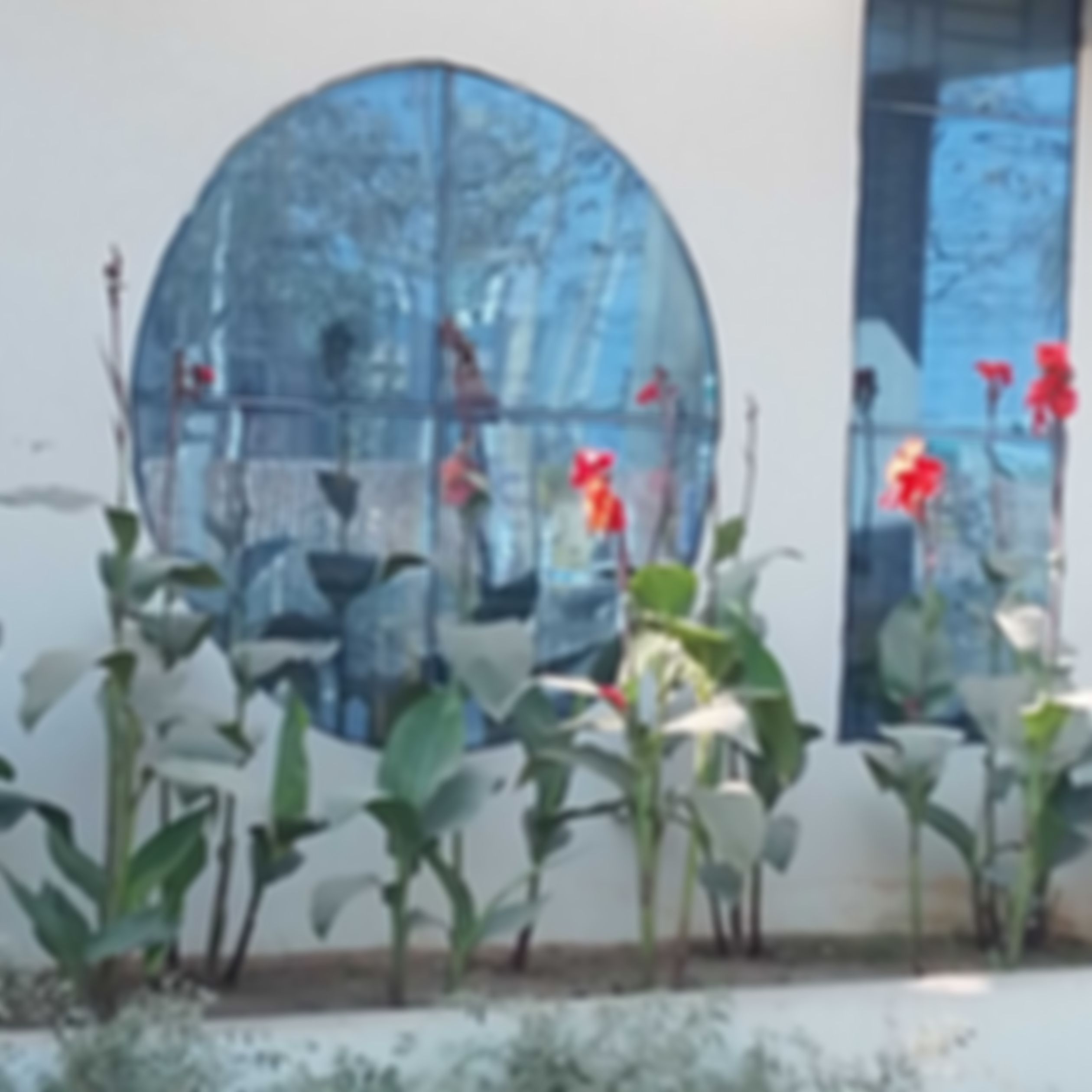 স্বপ্নের পৃথিবী এর ছবি