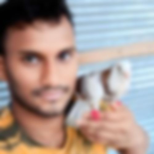 তানভীর হোসেন  এর ছবি