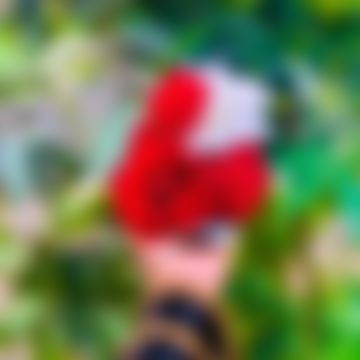 হৃদয়  এর ছবি