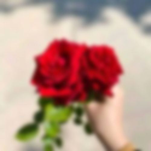 মোঃ পারভেজ খান এর ছবি