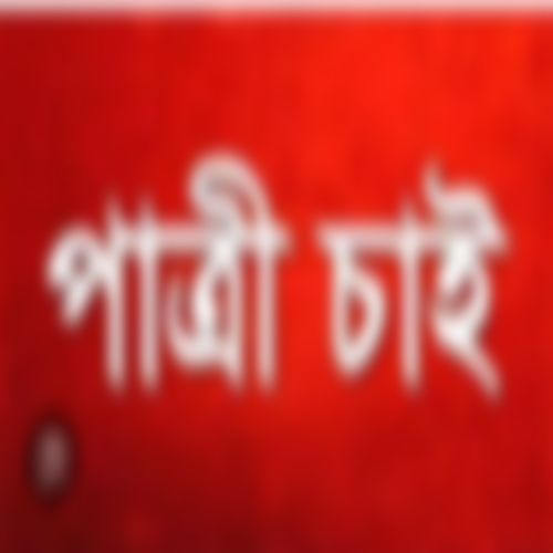 মোহাঃ শাহরীয়া আহমদ  এর ছবি