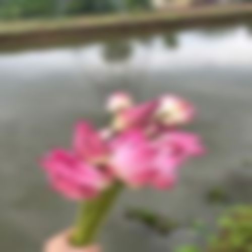 Rihan এর ছবি
