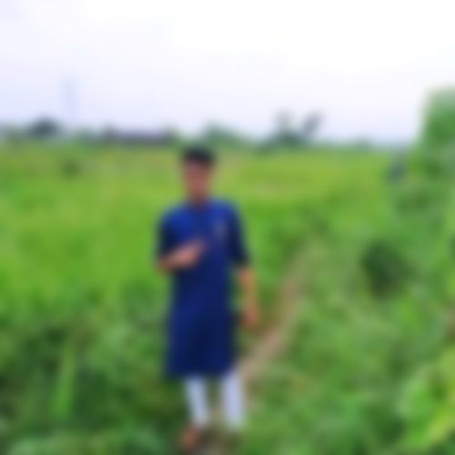 নুর নবী এর ছবি