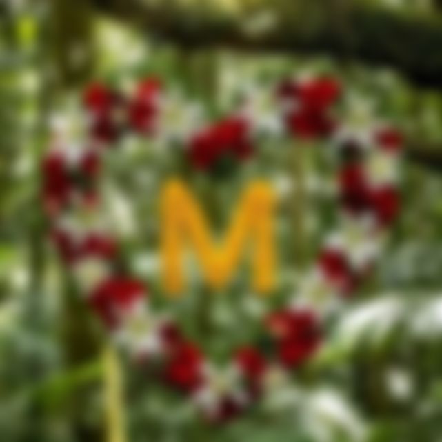Md masum billah এর ছবি