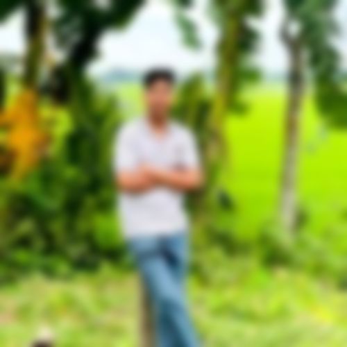 শরিফ হাসান এর ছবি