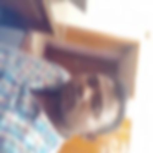 মোঃ আলী  এর ছবি