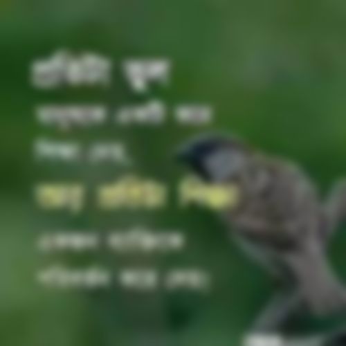 Hasibur Rahman Shobus এর ছবি
