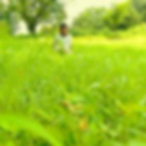 Md Nadim এর ছবি