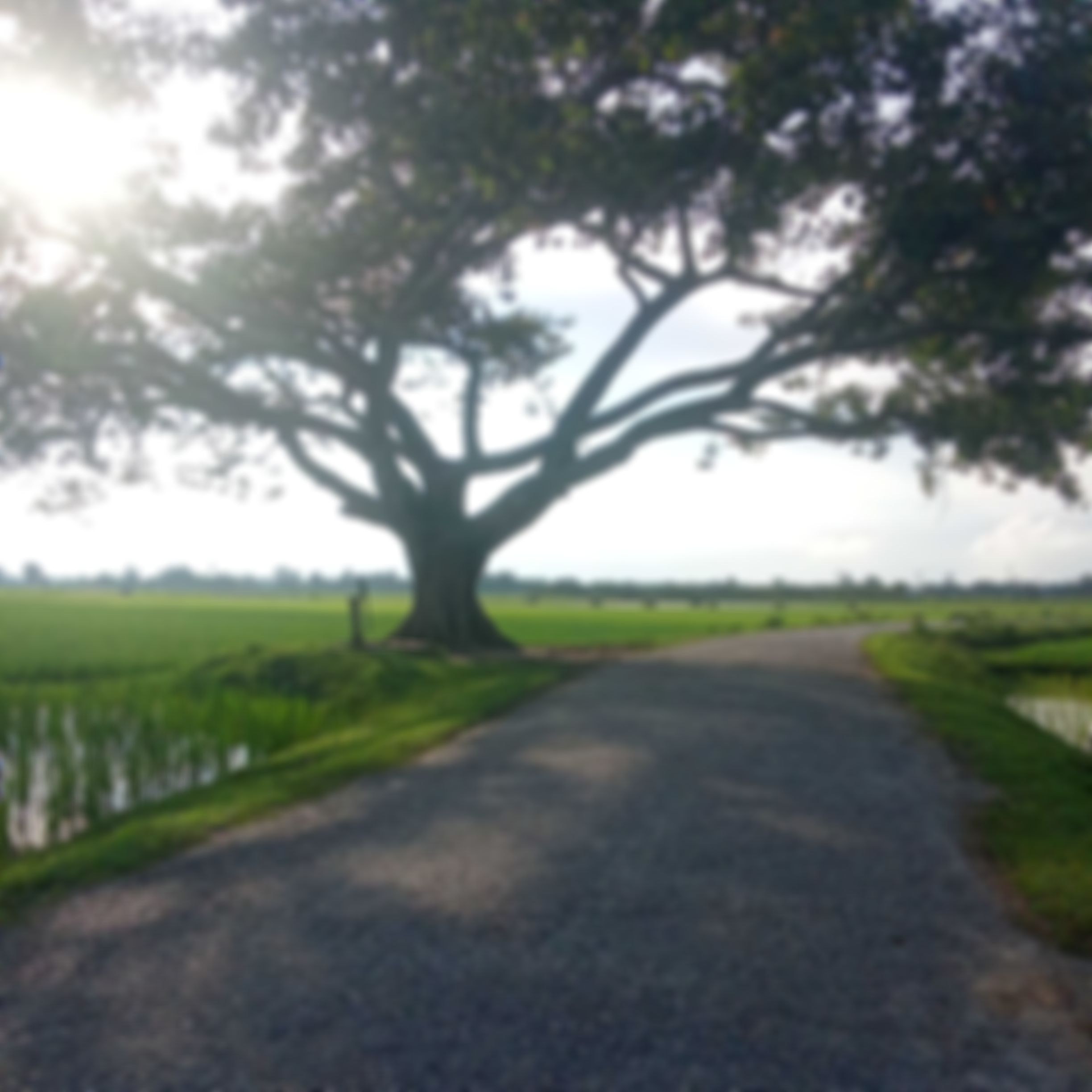 রায়হান এর ছবি