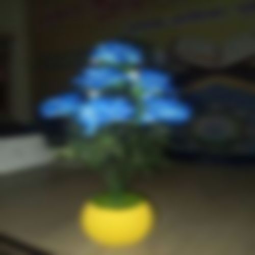 মোজাহিদ  এর ছবি