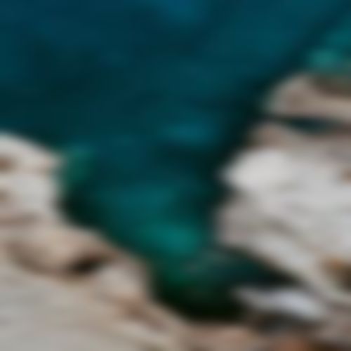 কুতুব  এর ছবি