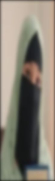 সাথী এর ছবি