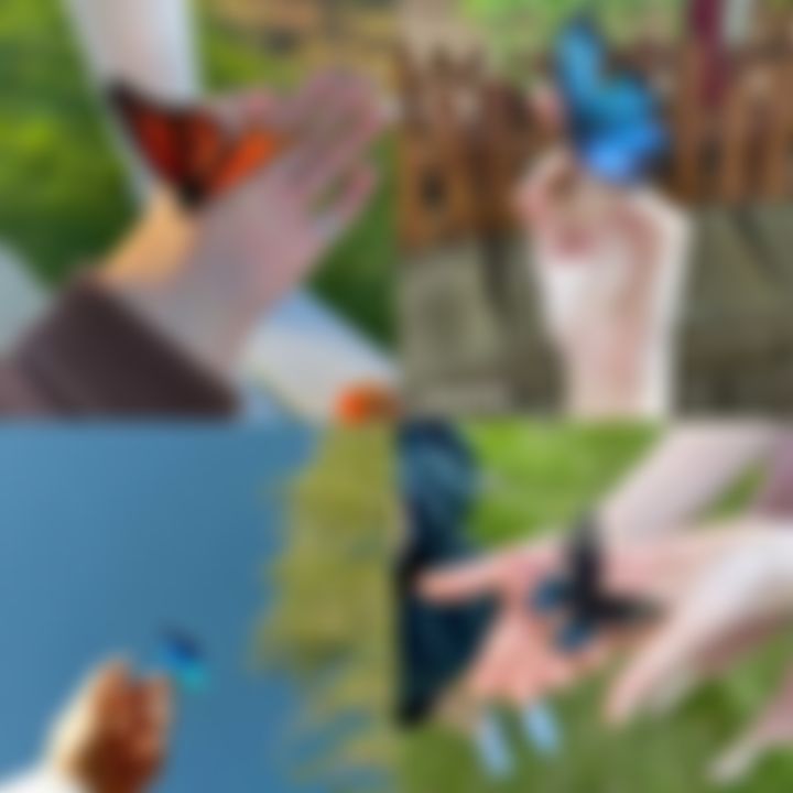 ফারিয়া এর ছবি