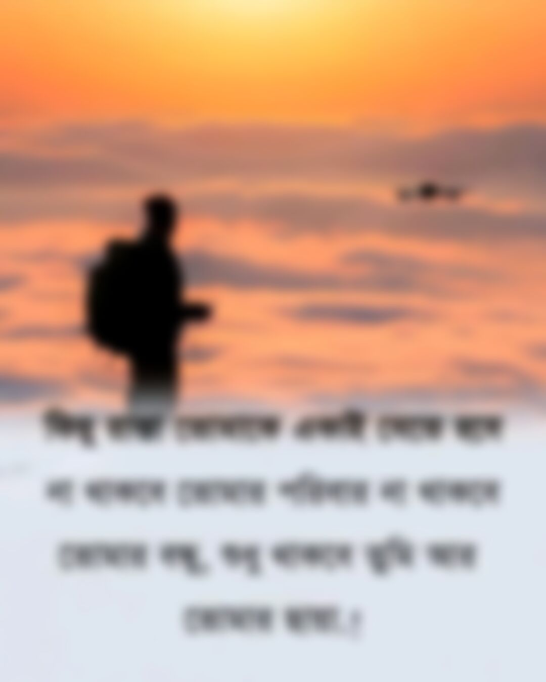 মোঃ শরীফ   এর ছবি