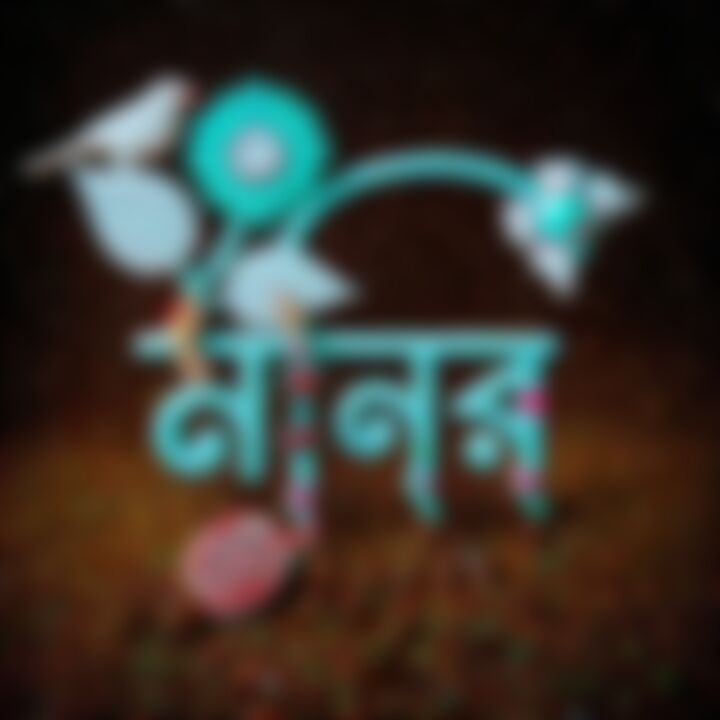 Md Monir Hossain এর ছবি