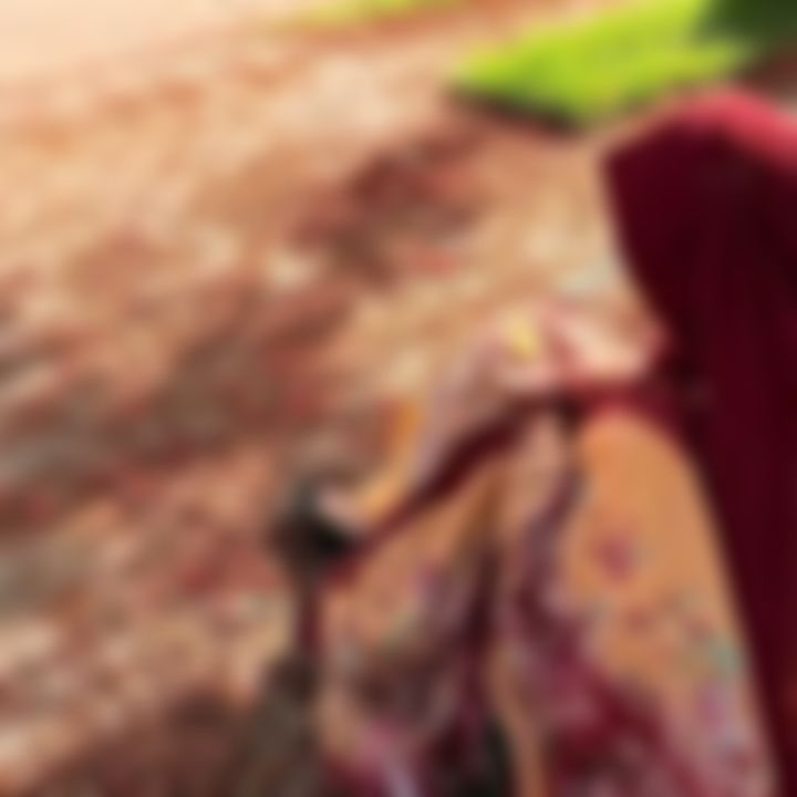 Jannatul Ferdoushi  এর ছবি
