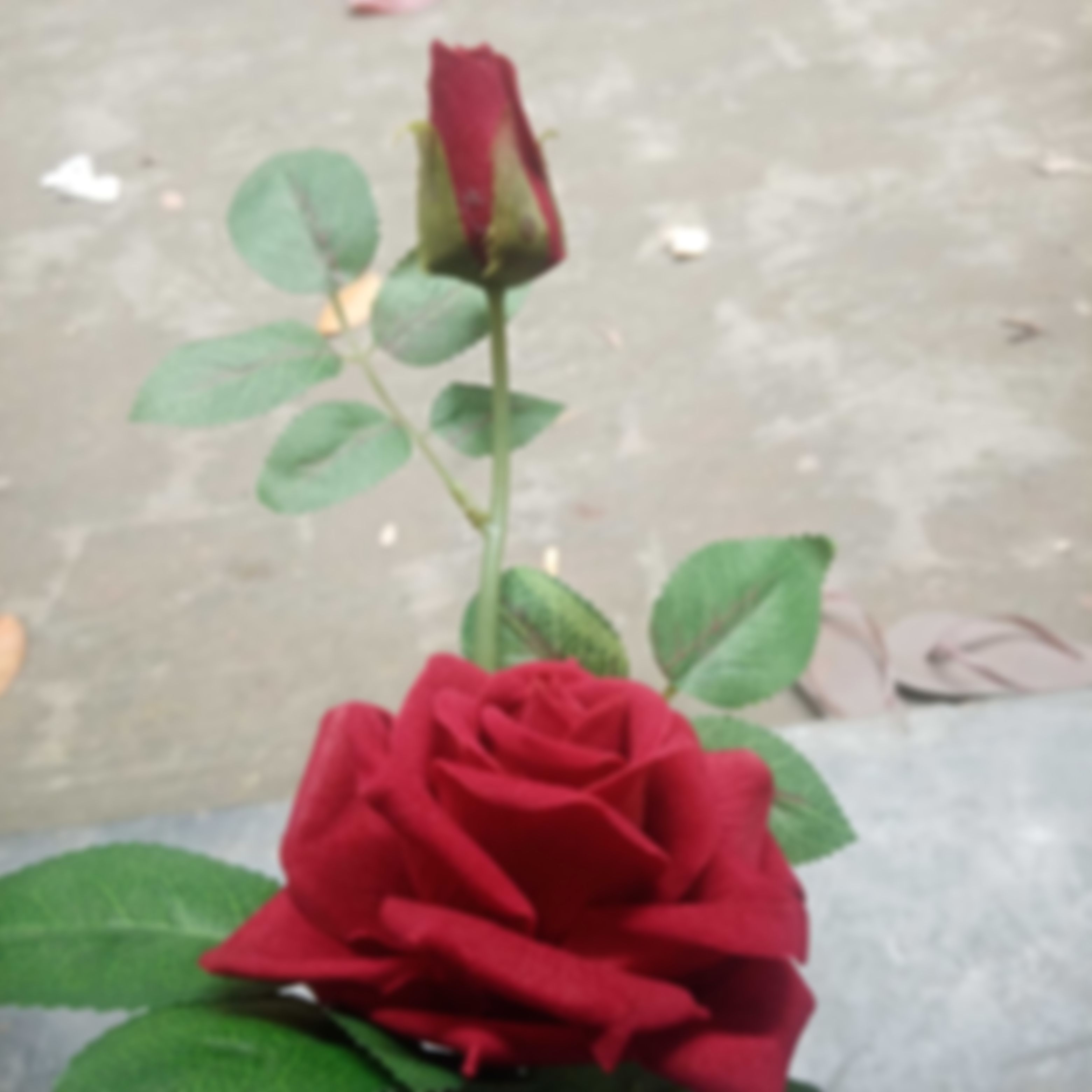 আকাশ এর ছবি