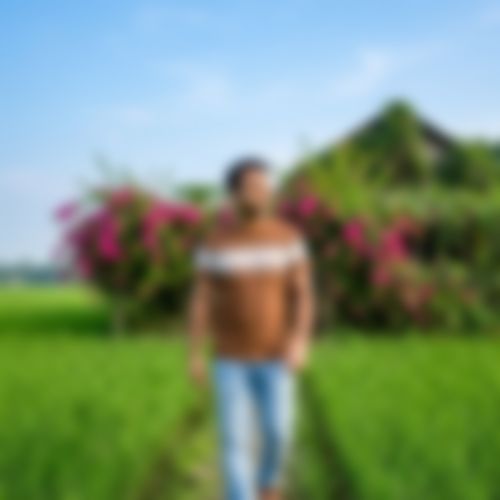 নিশাত হক এর ছবি