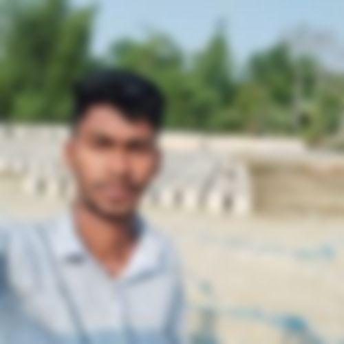 মোঃ আরাফাত হোসেন  এর ছবি