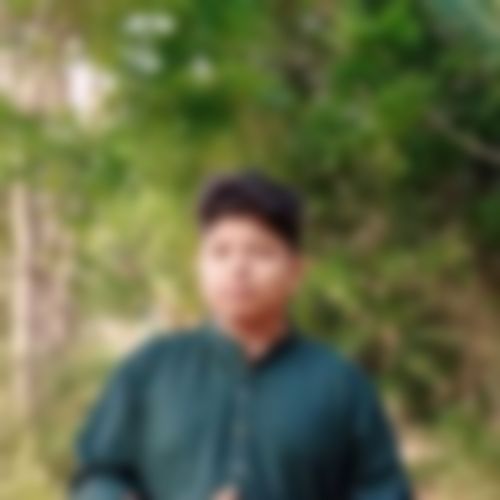 Mahin Bin Saidur  এর ছবি