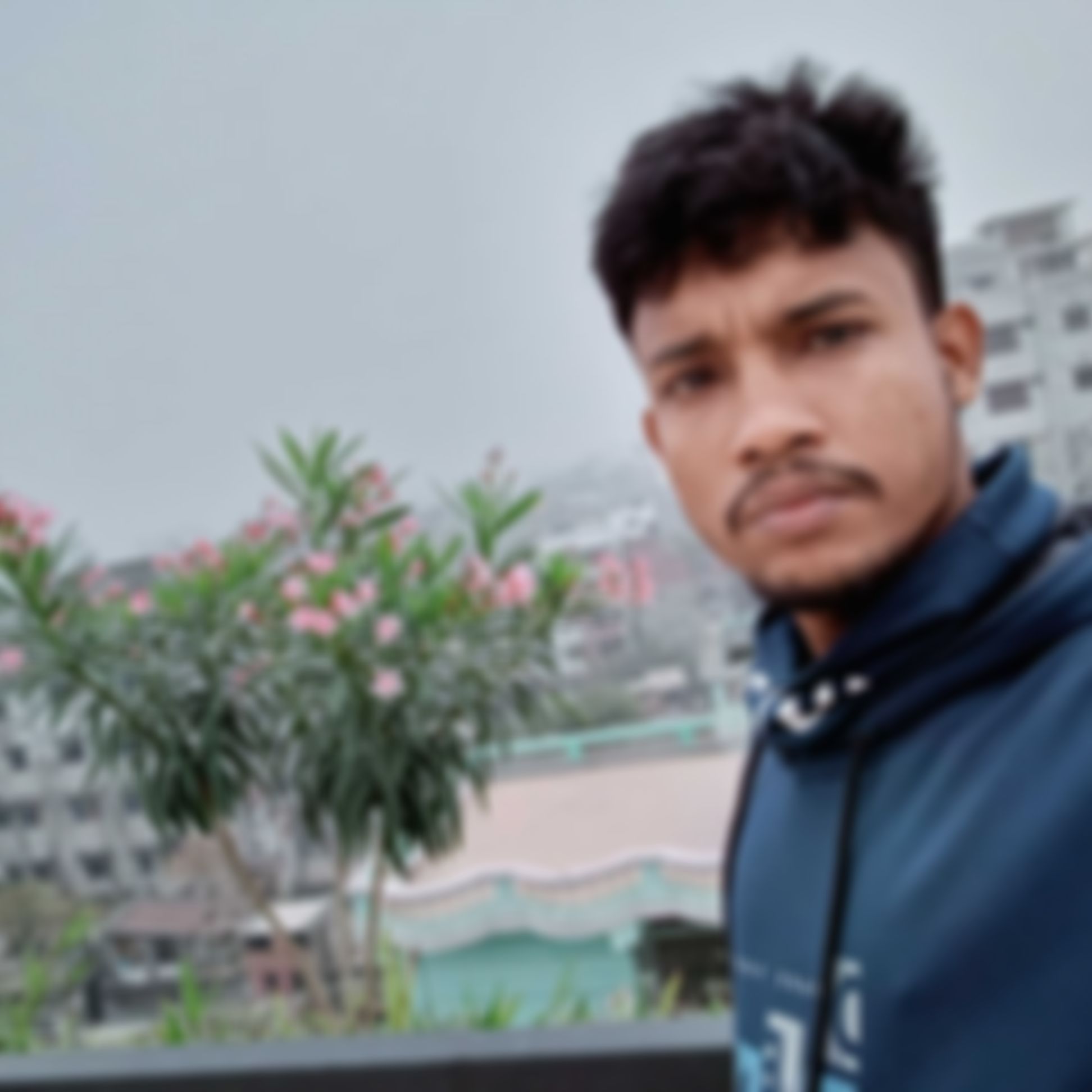 Majarul এর ছবি