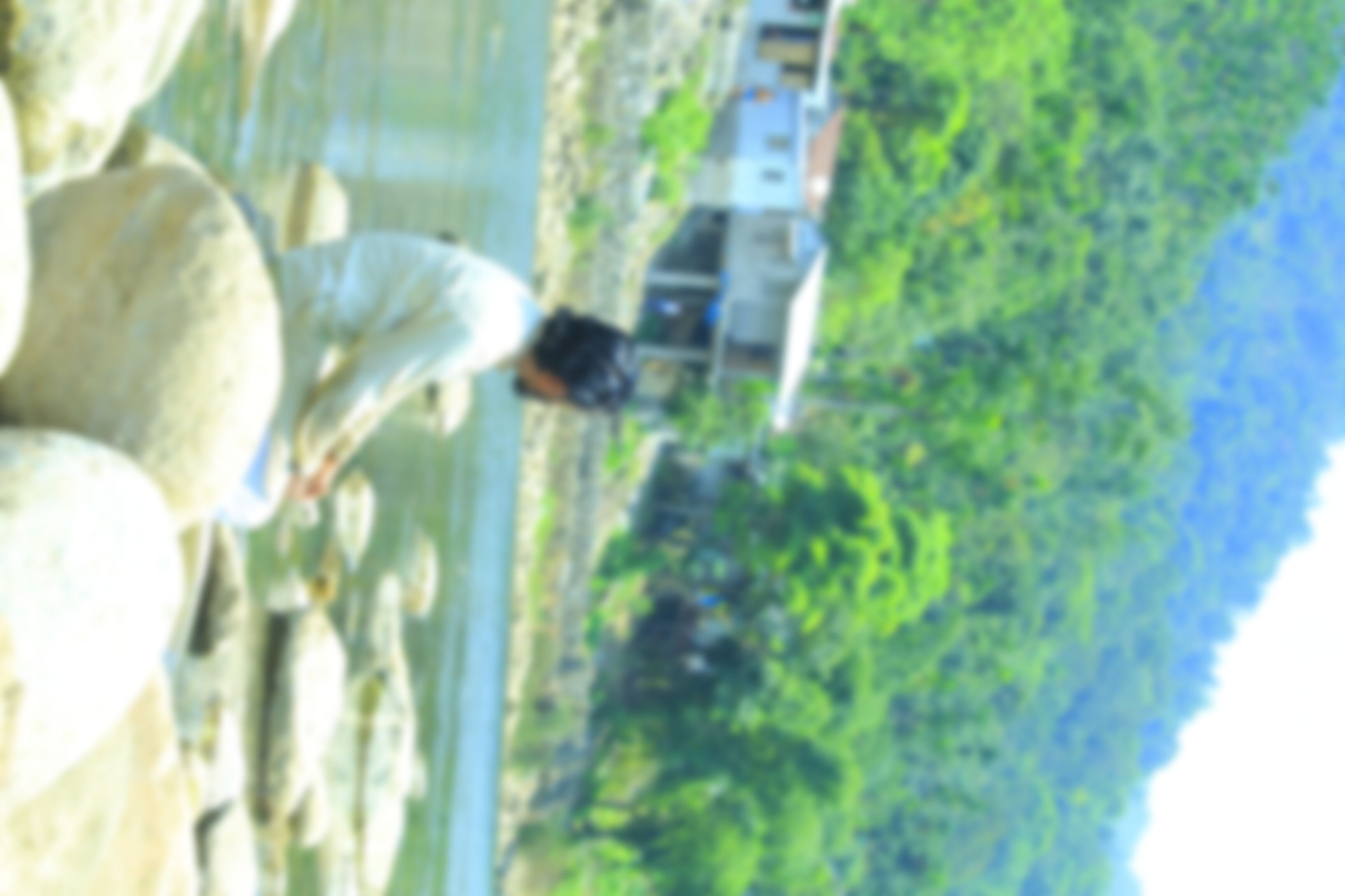Dulal Ahmed এর ছবি