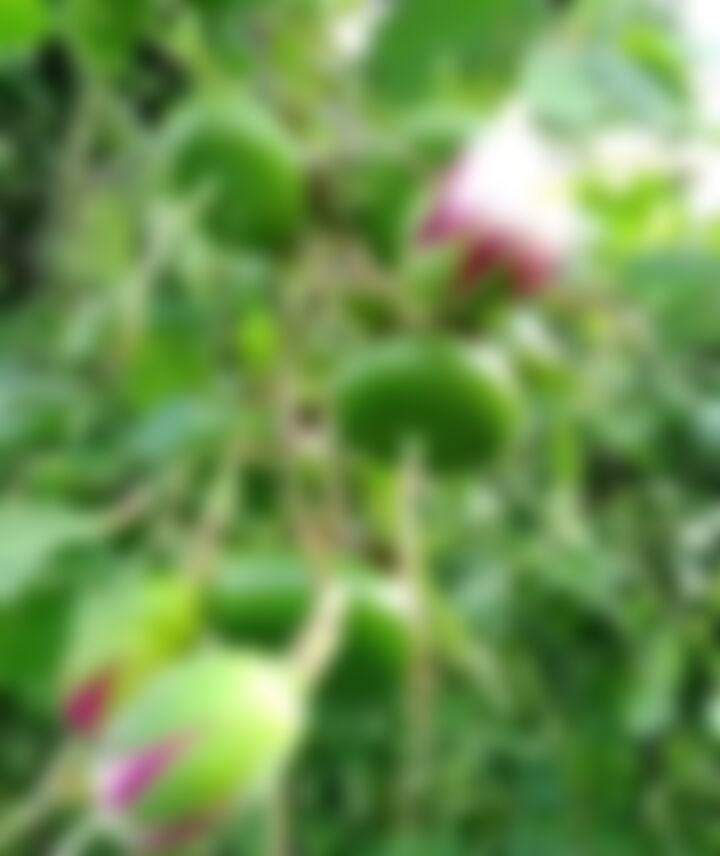 আরিফুর ইসলাম  এর ছবি