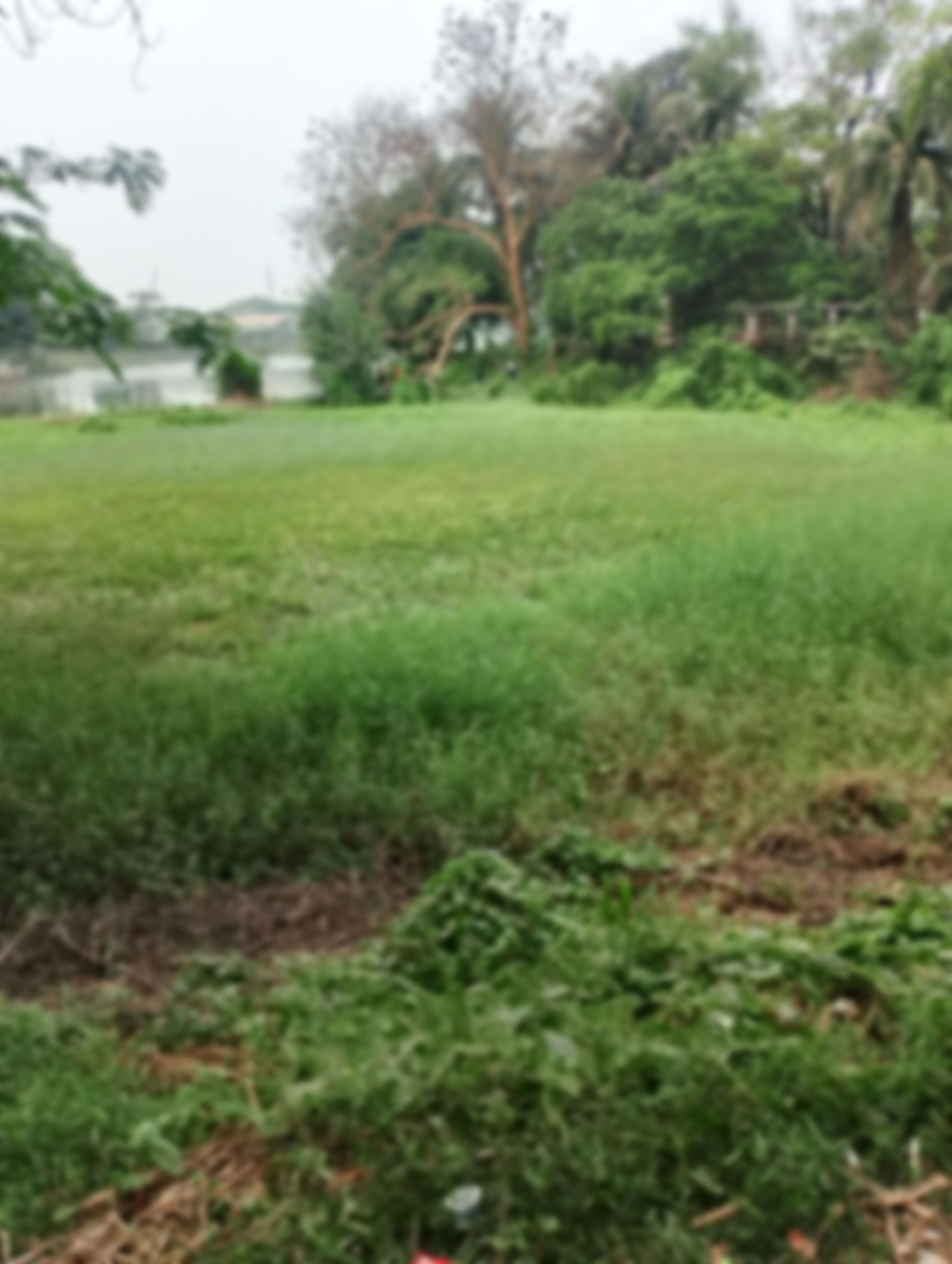 Mominulislam এর ছবি