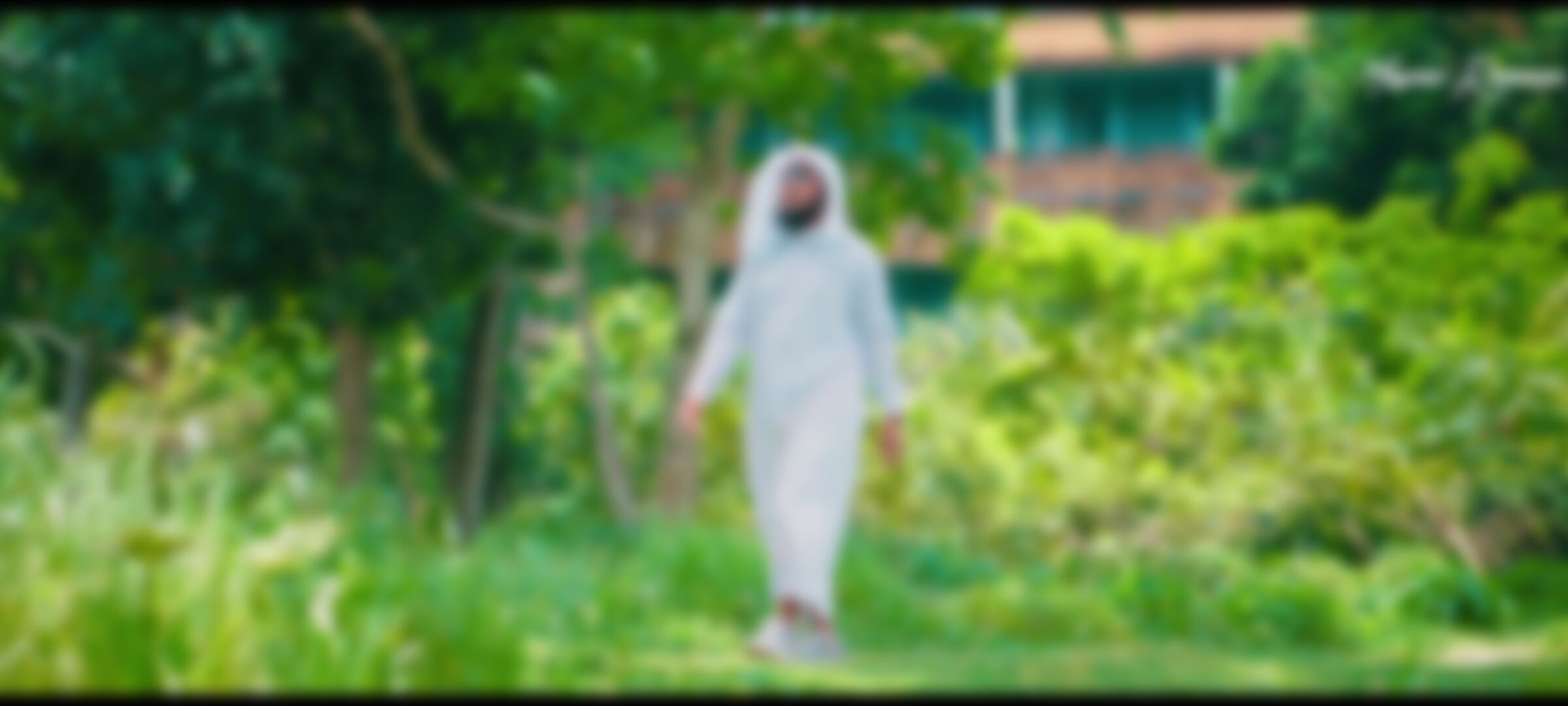 Majidur Rahman Saki  এর ছবি