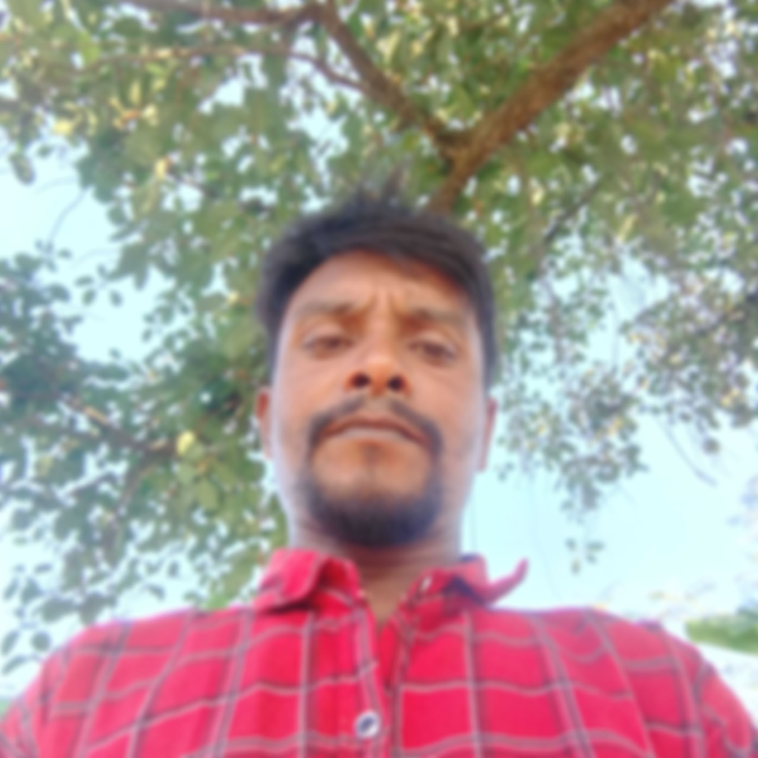 Md manik mia এর ছবি